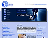 David Stringer Physiotherapy Screenshot